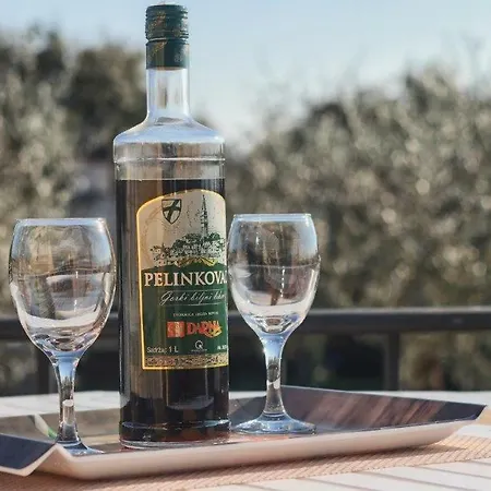 Casa Vesna Tatil Evi